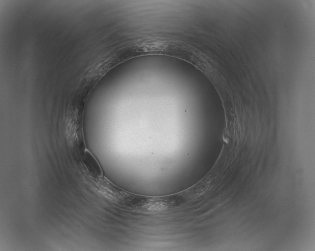 X0000054390604200508121634