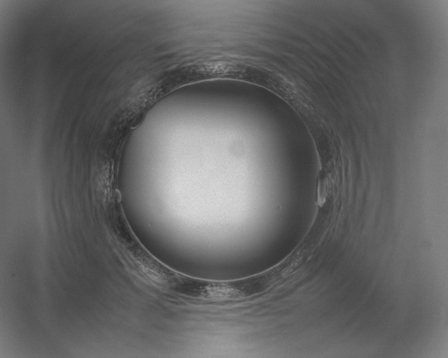 X0000054390605200508121634