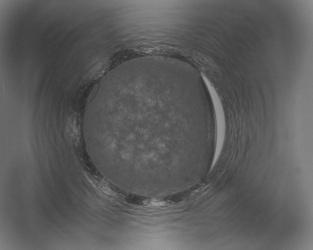 X0000054390607200508121634