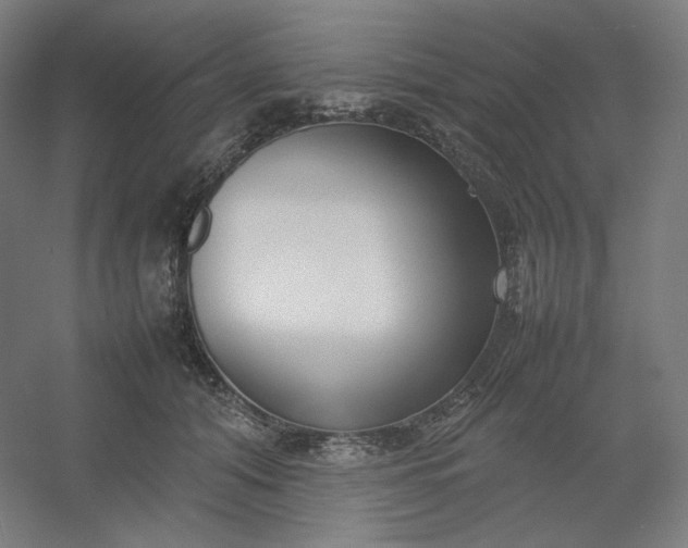 X0000054390608200508121634