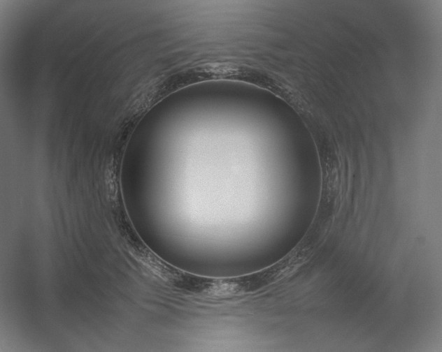 X0000054390609200508121634