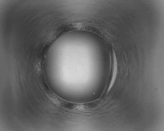 X0000054390611200508121634