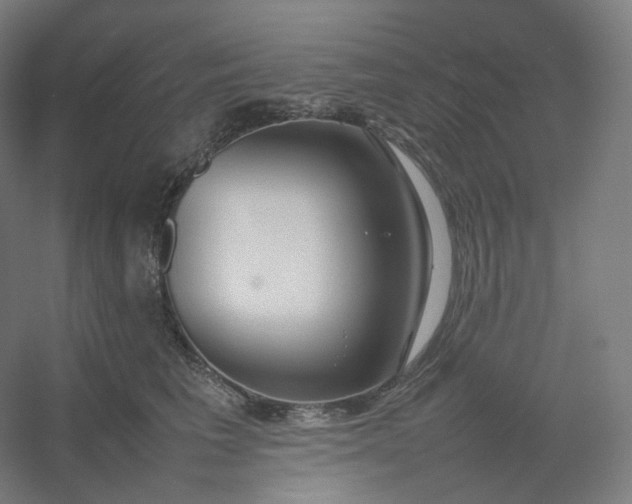 X0000054390613200508121634