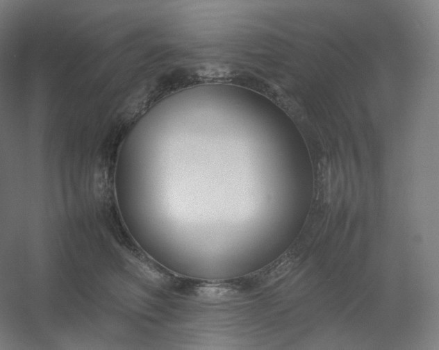 X0000054390614200508121634