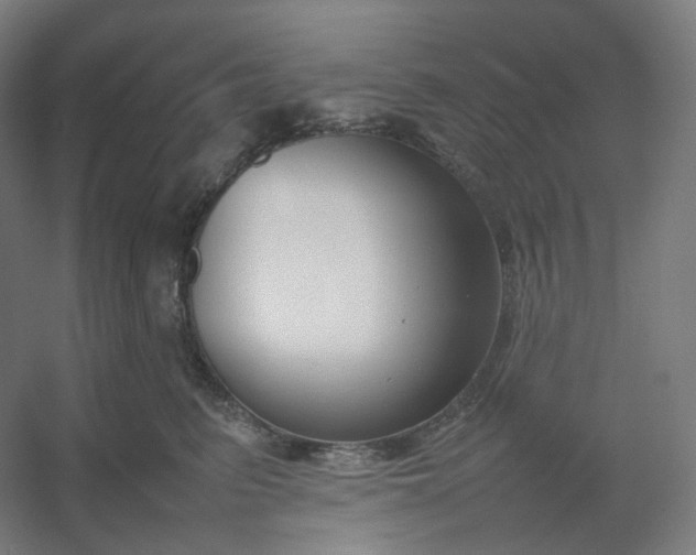 X0000054390615200508121634