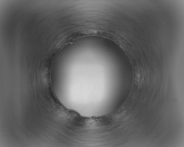 X0000054390616200508121634