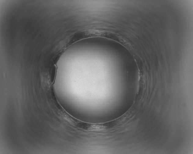 X0000054390617200508121634