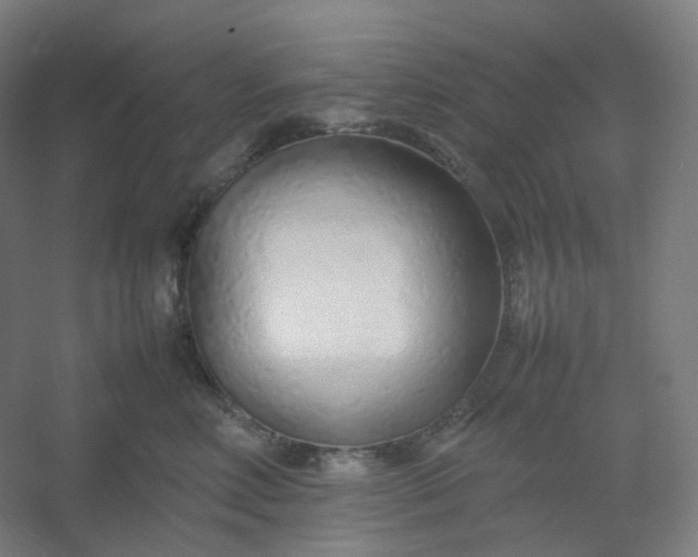 X0000054390618200508121634