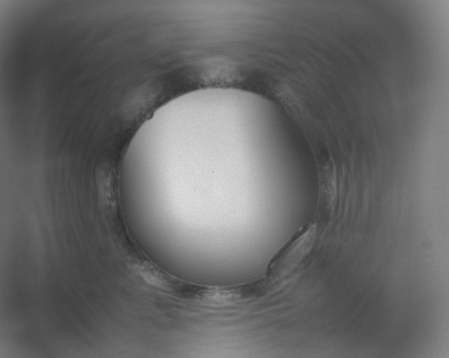 X0000054390619200508121634