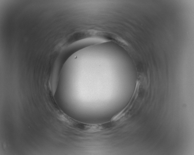 X0000054390621200508121634