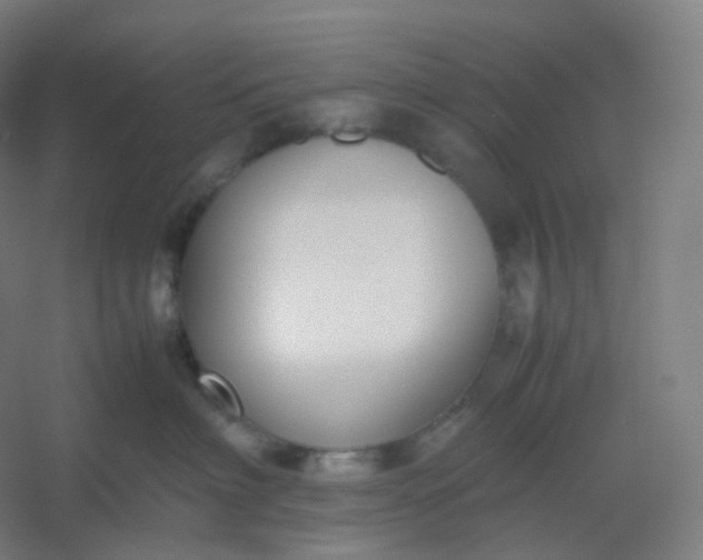 X0000054390622200508121634