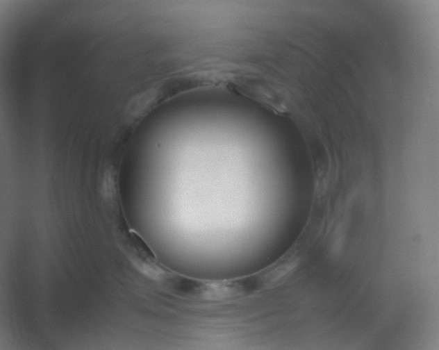 X0000054390623200508121634