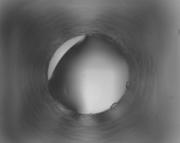 X0000054390624200508121634