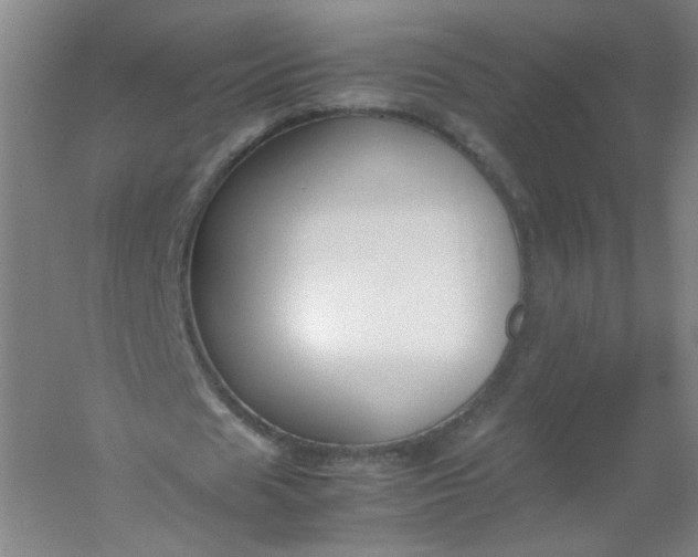 X0000054390625200508121633