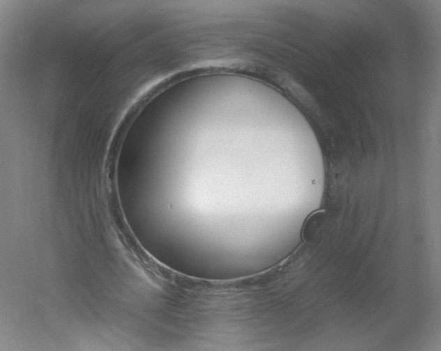 X0000054390628200508121633