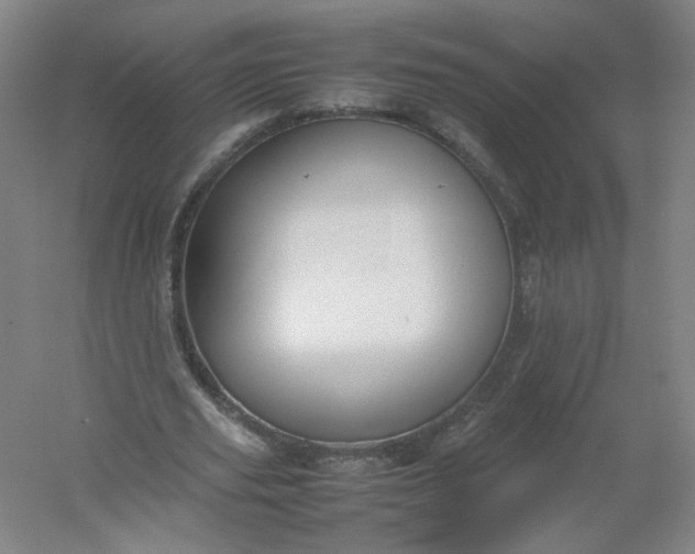 X0000054390629200508121633