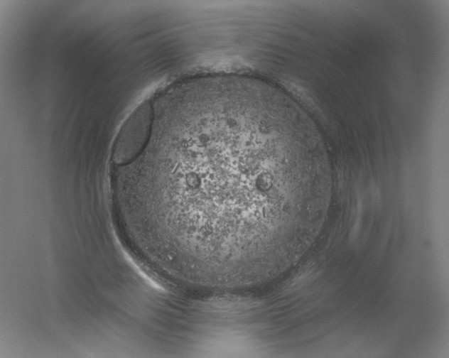 X0000054390630200508121633