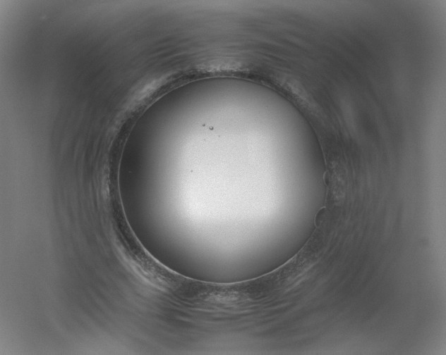 X0000054390631200508121633