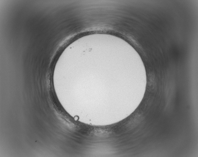 X0000054390632200508121633