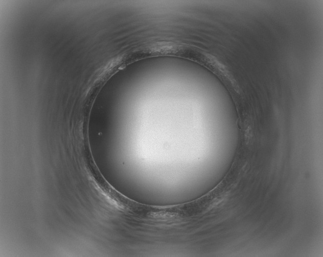 X0000054390633200508121633