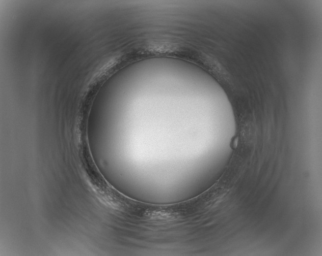 X0000054390635200508121633