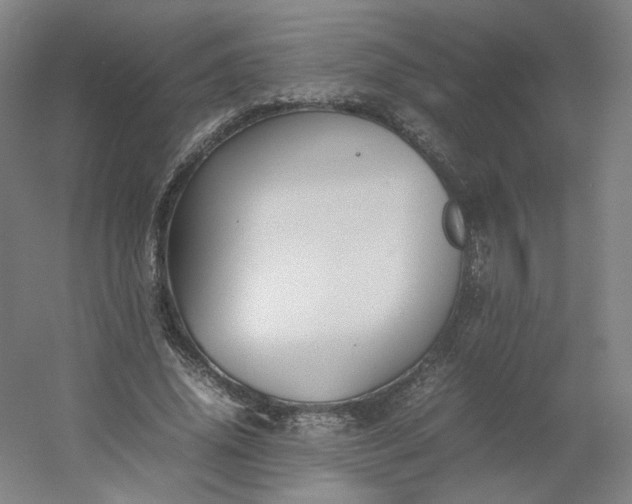 X0000054390636200508121634