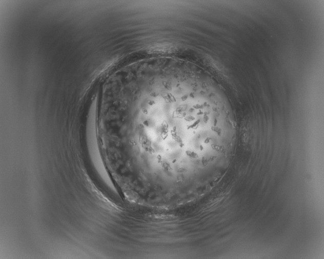 X0000054390637200508121634