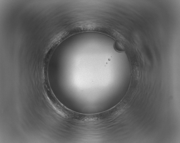 X0000054390638200508121634