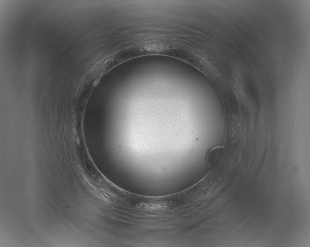 X0000054390639200508121634