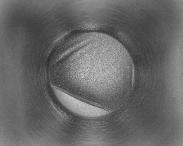 X0000054390640200508121634