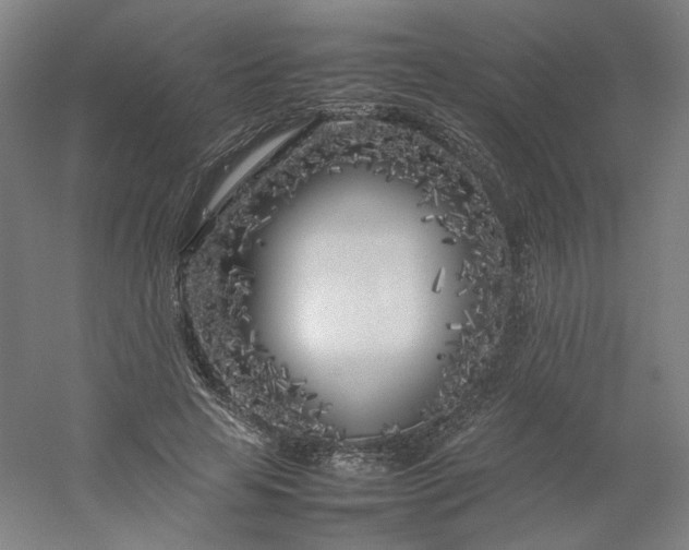 X0000054390641200508121634