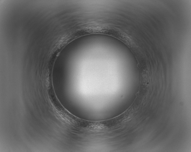 X0000054390642200508121634