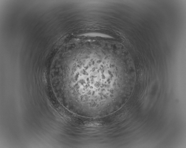 X0000054390643200508121634