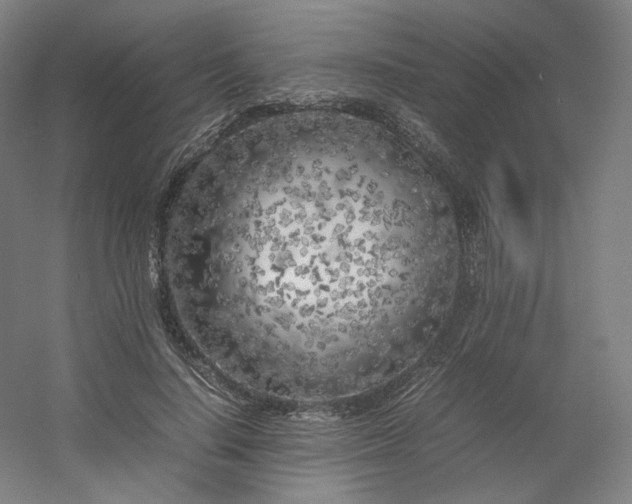 X0000054390644200508121634