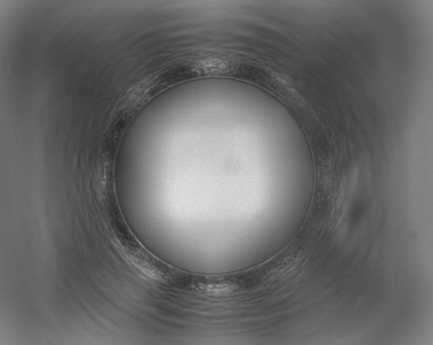 X0000054390645200508121634