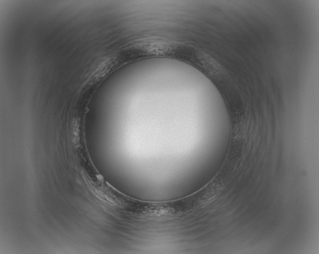 X0000054390646200508121634