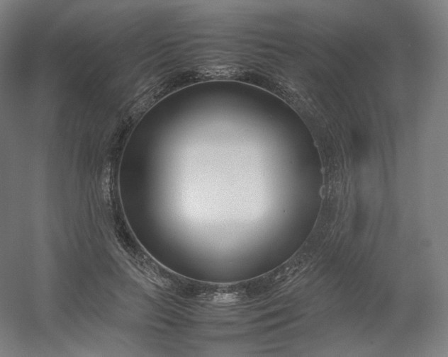 X0000054390647200508121634