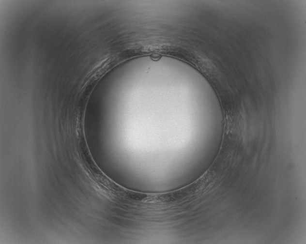 X0000054390648200508121634