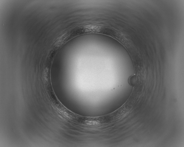 X0000054390649200508121634