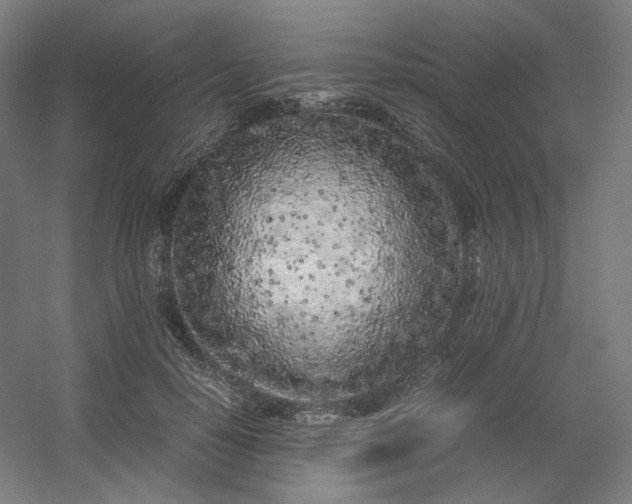 X0000054390650200508121634