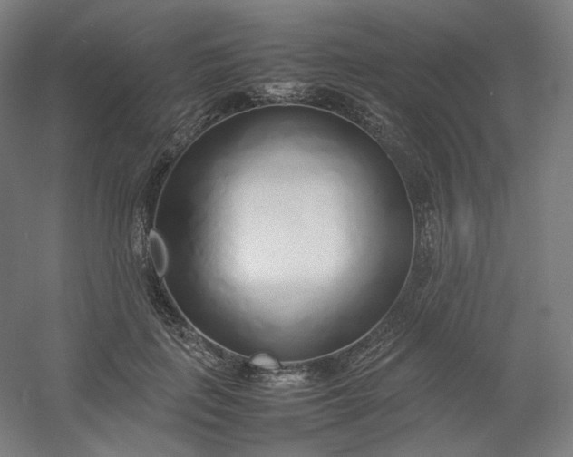 X0000054390651200508121634