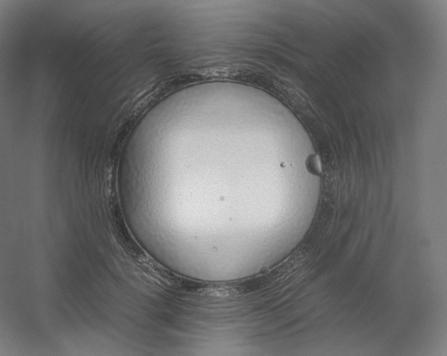 X0000054390652200508121634