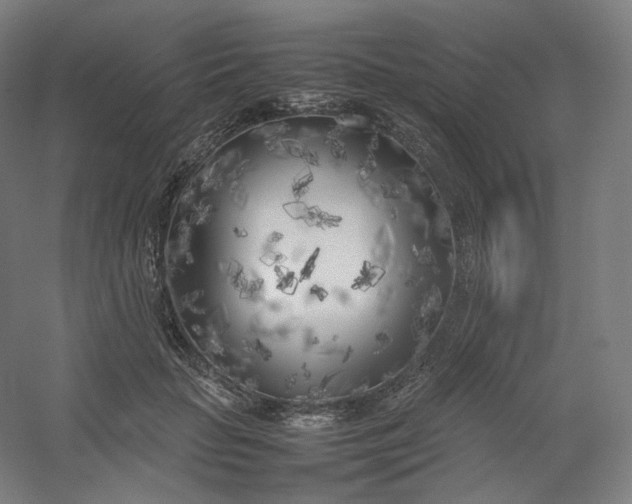 X0000054390653200508121634