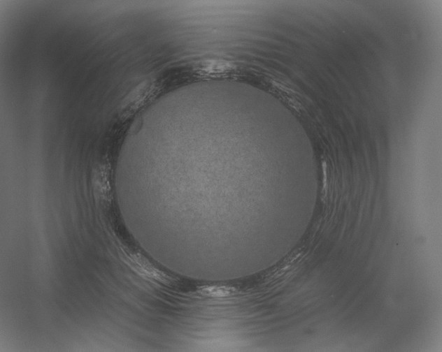 X0000054390654200508121634