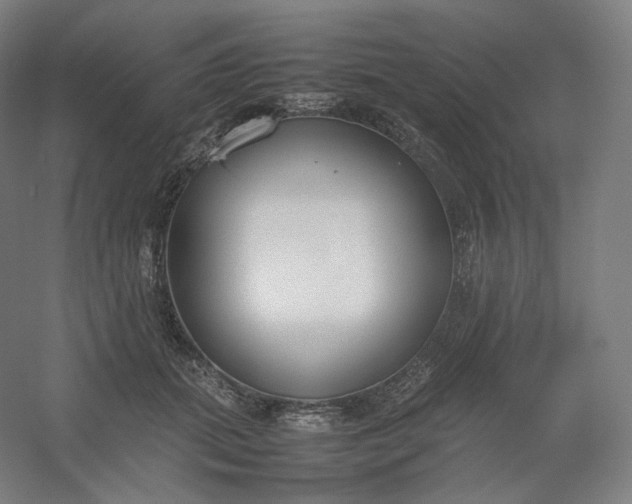 X0000054390655200508121634