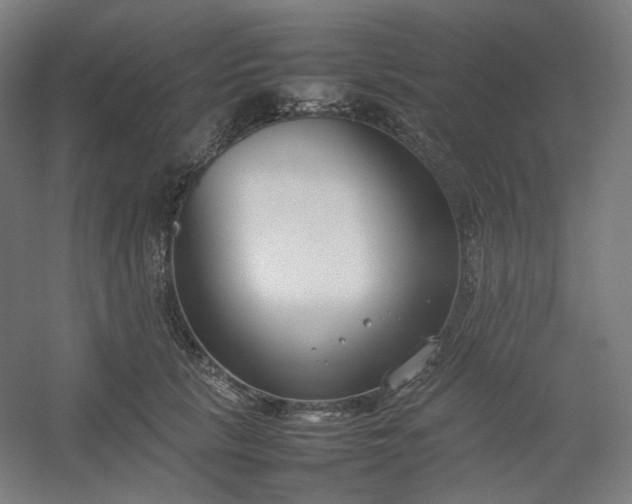 X0000054390657200508121634