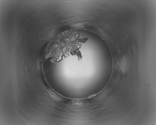 X0000054390658200508121634