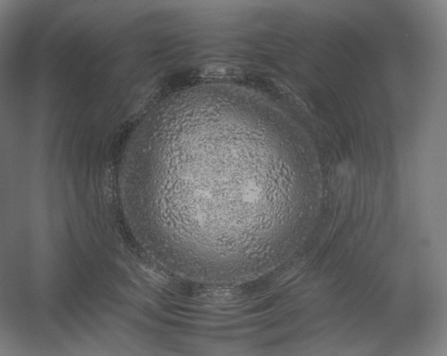 X0000054390659200508121634