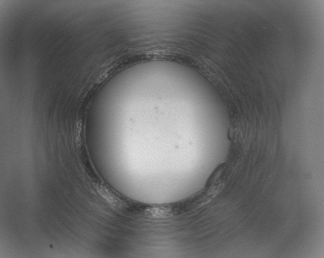 X0000054390660200508121634