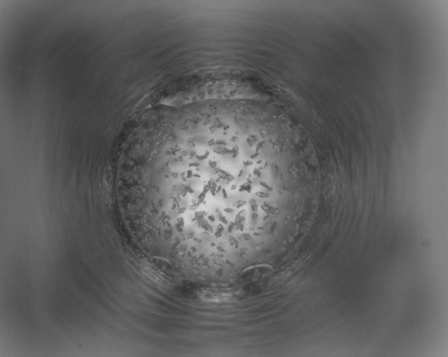 X0000054390661200508121634